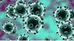 Coronavirus: Total Positive Case Reaches To 33 In Rajasthan