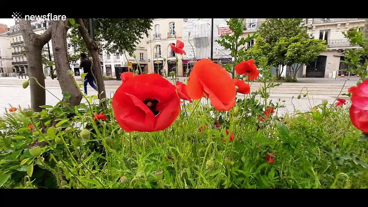 Kids in Nantes play in the streets as France's coronavirus lockdown begins to lift