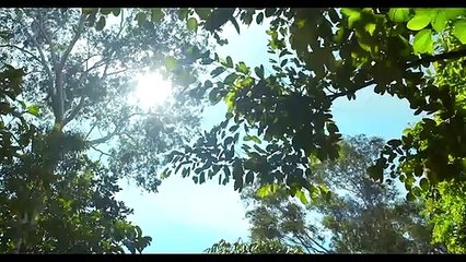 MV Bài Hát Cho Bi - Mỹ Anh