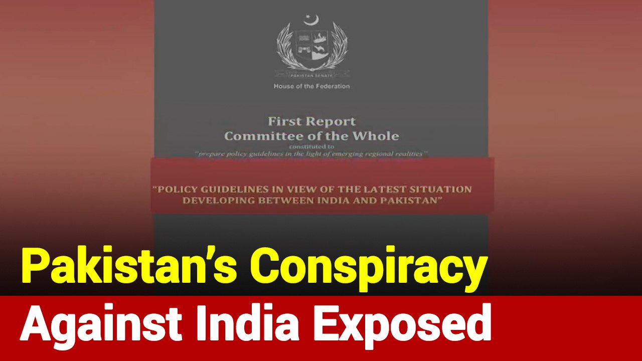 Report Against Indian Govt On Delhi Riots Submitted In Pakistan Senate