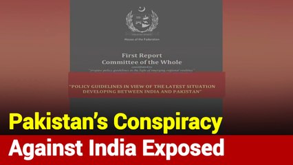 Report Against Indian Govt On Delhi Riots Submitted In Pakistan Senate