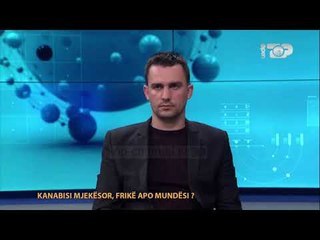 Kush do ta kultivojë kanabisin në Shqipëri? Agron Duka: Unë jam bujk nuk jam Oligark