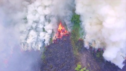 More Than a Dozen Wildfires Burning Throughout Florida