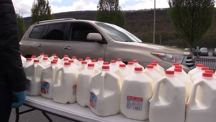 Dairy farmers giving away milk