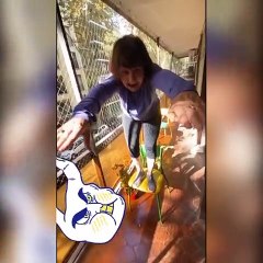 Los videos de Patricia Bullrich en Tik Tok