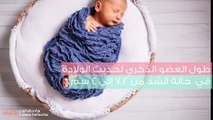 كيف أعرف أن ذكر طفلي سليم؟ علاج صغر حجم الذكر والعيوب الخلقية للعضو الذكري