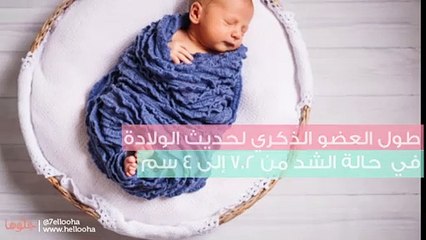 كيف أعرف أن ذكر طفلي سليم؟ علاج صغر حجم الذكر والعيوب الخلقية للعضو الذكري