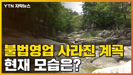 [자막뉴스] 불법영업 사라진 계곡·하천...현재 모습은? / YTN