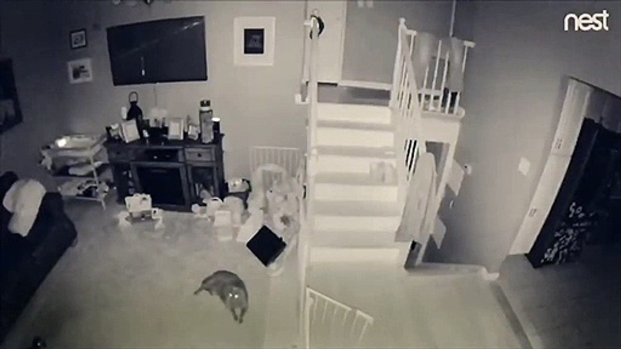 A Real Spirit At My Friends House