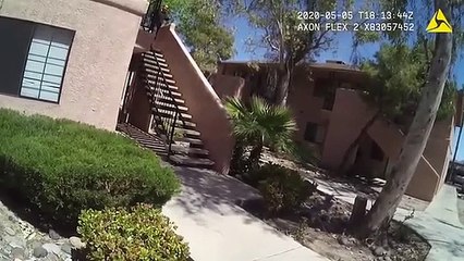 WATCH | Vegas cop shoots man as he charges him with SAMURAI sword