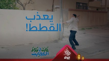 غايب يضرب بزازين همينه هاي شصار بيه