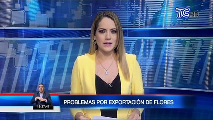 Mercado de las rosas ecuatorianas están en crisis por la emergencia sanitaria