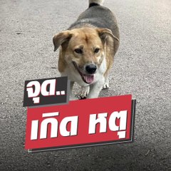 อาลัย "พี่เตี้ย มช"