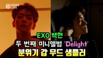 EXO 백현, 솔로 컴백 미니 앨범 'Delight' 분위기 갑 무드 샘플러