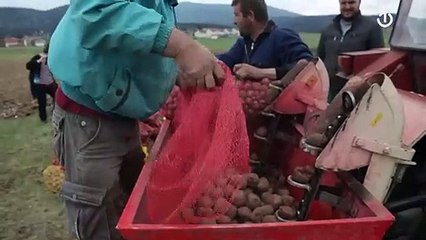 Kako stanovnici Livna obilježavaju Međunarodni praznik rada