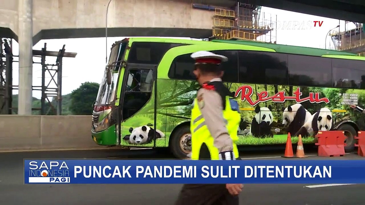 Soal Pelonggaran PSBB, Pakar Kesehatan: Data Soal Pandemi Harus Lengkap dan Akurat!