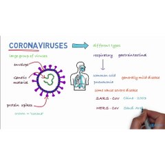 corona virus covid 19 information