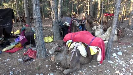 MERSİN Yörüklerin 20 gün sürecek yaz göçü başladı