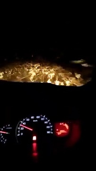 Conduire à travers une tempête de sauterelles !