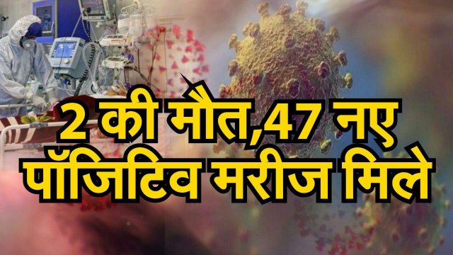 राजस्थान में आज 47 नए कोरोना पॉजिटिव मरीज मिले, 2 की मौत