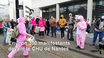 Nantes: 300 manifestants devant le CHU en soutien aux soignants