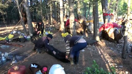 Yörüklerin 20 gün sürecek yaz göçü başladı