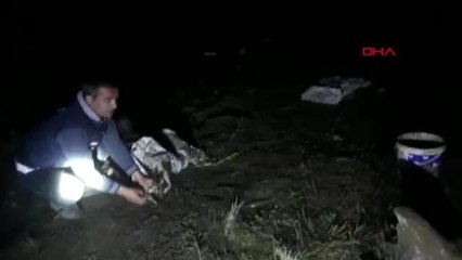 Van'da, 350 metre ağ ve 50 kilo canlı balık ele geçirildi