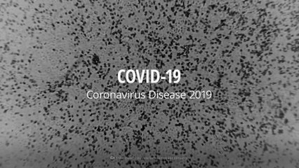 COVID-19 Animation: What Happens If You Get Coronavirus?