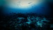 Des traces mystérieuses découvertes à 4km de profondeur sous l’océan