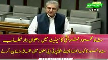 FM Qureshi lashed out at PPP in his speech in Senate