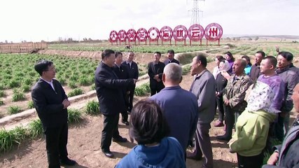 Xi stresses daylily growing in poverty alleviation