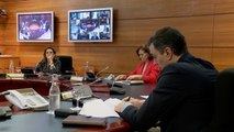 Sánchez preside la reunión del Consejo de Ministros
