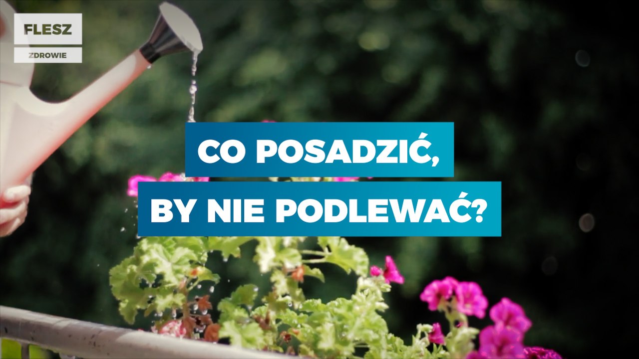 Ogród: co posadzić, żeby dużo nie podlewać?