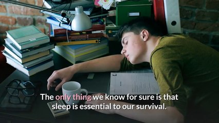 How Much Sleep Do I Need? || Article Gallery