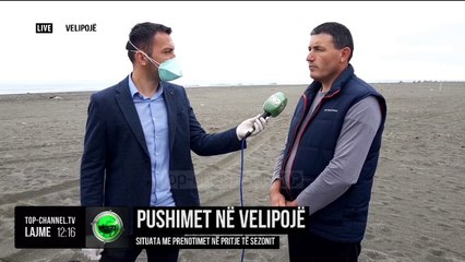Pushimet në Velipojë/ Situata me prenotimet në pritje të sezonit