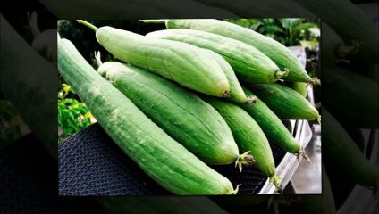 6 loại quả nên ăn nhiều vào mùa nóng