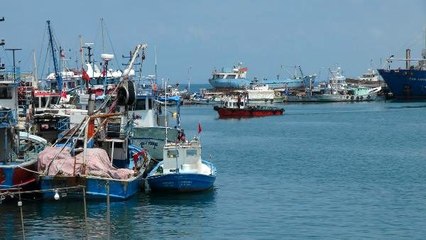 Hatay'da balıkçılar, kuyruk başına 5 TL verilecek balon balığını avlamayı sabırsızlıkla bekliyor