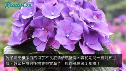 imreadygo.com-copy1-20200512-17:58