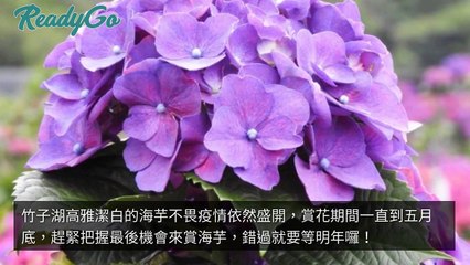 breaktime_readygo_curation_mobile-copy1-20200512-17:59