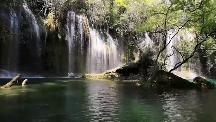 Waterfalls in Forest