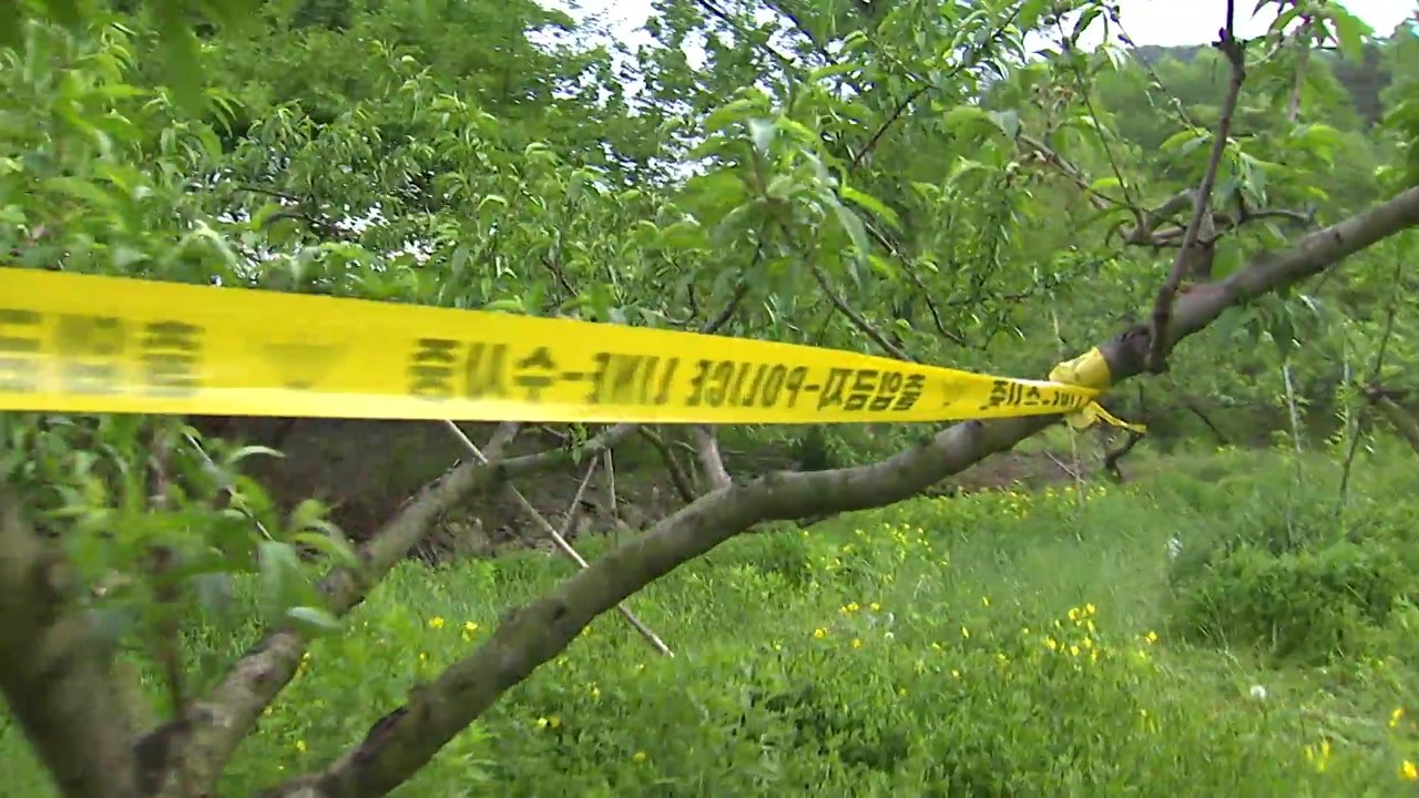 부산 실종 20대 여성 시신 전북 완주서 발견 / YTN