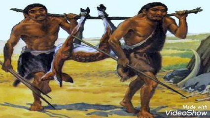 KYA MANGAL GRAH PAR JEEVAN HAI by P FACT CITY