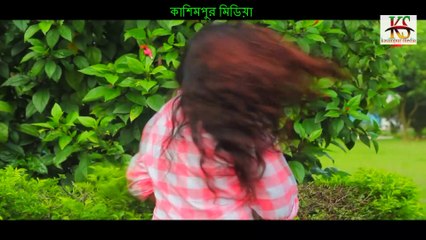 ভালো লাগা থেকে ভালোবাসা হয় || Valo Laga Theke Valobasha Hoy || Tarek Babul || sm multimedia1
