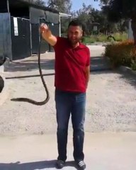 Korkusuz vatandaş, bahçesine giren yılanı eliyle yakaladı