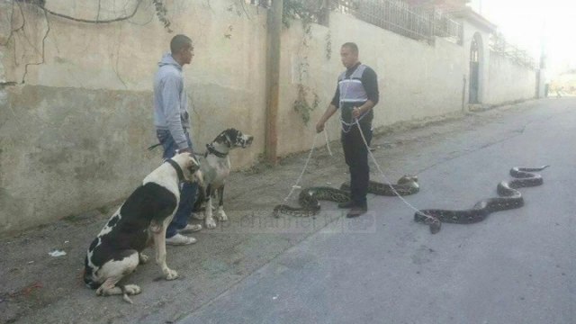 Top News - Si në tjetër planet! Befasia që vjen përmes fotove