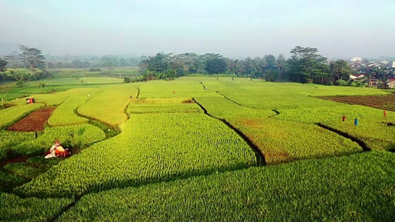 Beautiful landscape