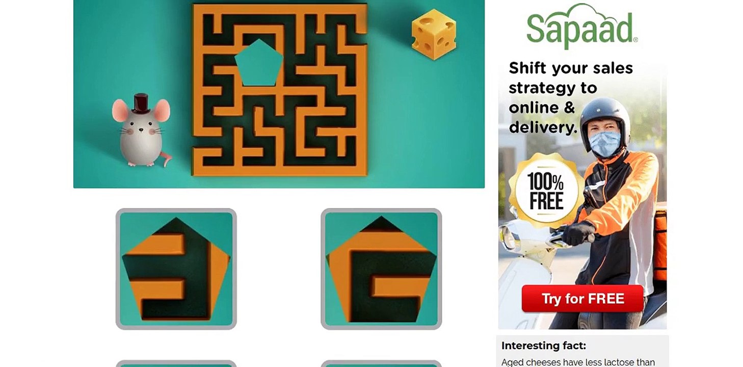 Cheese Hunt Maze! Quiz Answers - Videoquizstar - Latest Updated