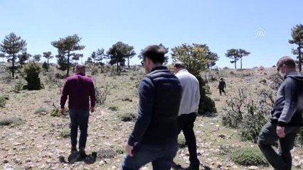 Mut'ta "obruk peyniri" için markalaşma atağı