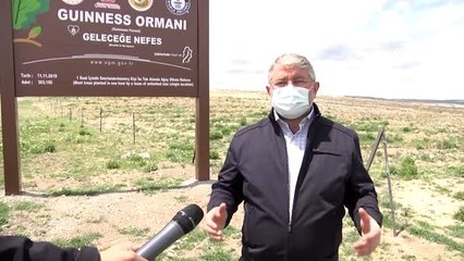 Guinness Rekorlar Kitabı'na giren Çorum'daki fidanlar büyüyor