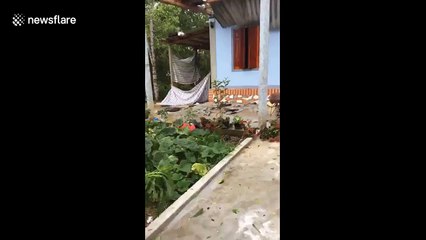 Hundreds of houses left in ruins after tornado rips through central Vietnam
